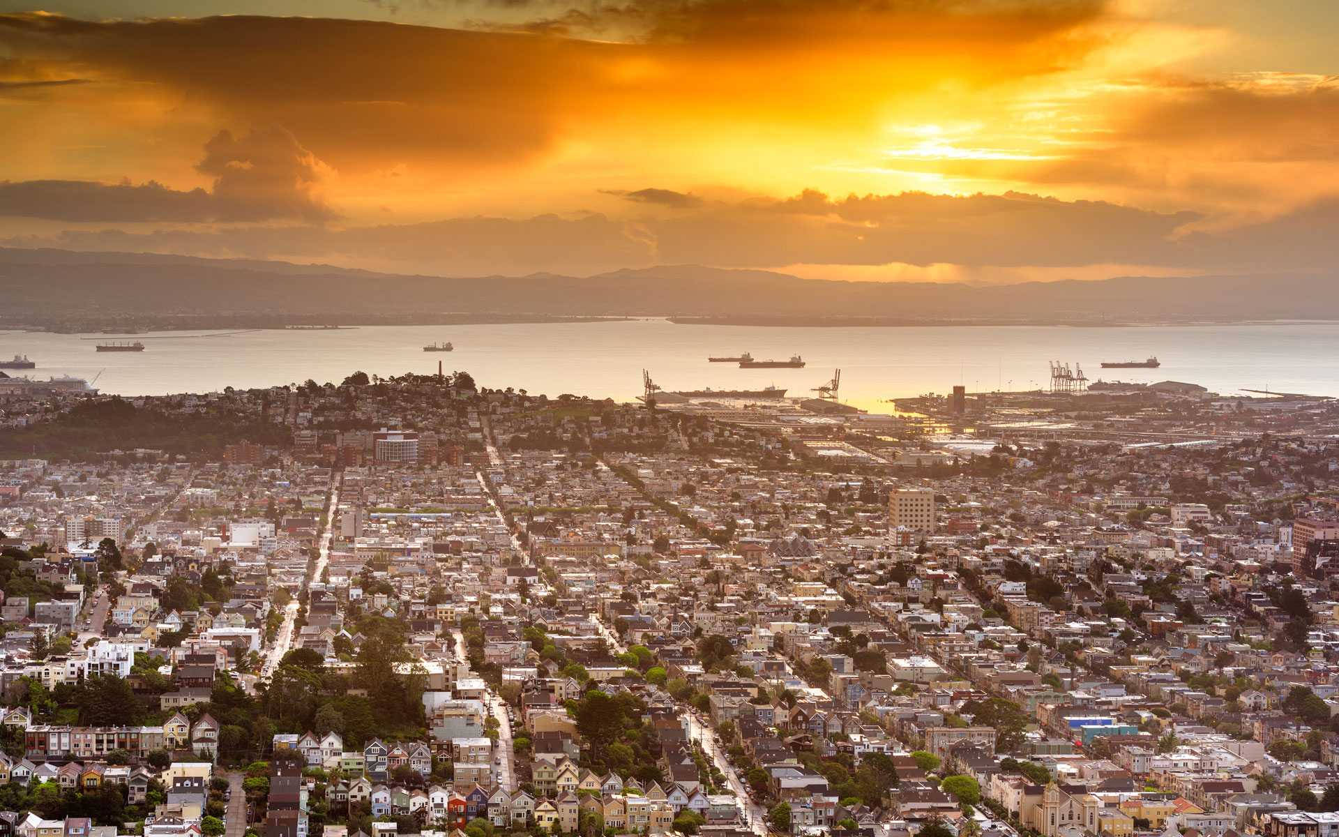 What you should know about Noe Valley Amir Hardy